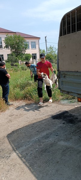 Изображения.