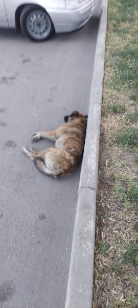 Изображения.