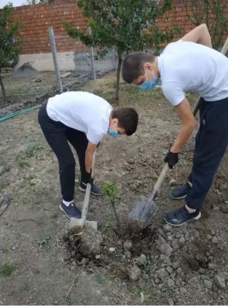 Школьники Бабаюртовского района участвуют в акции «Сад памяти дома».