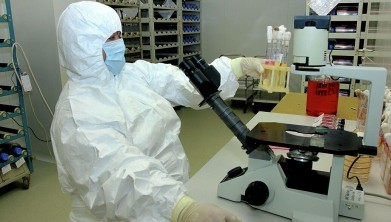 В России начались испытания вакцины против коронавируса на животных.
