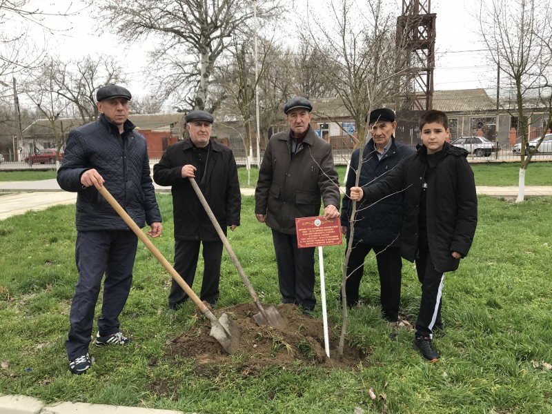 В Бабаюртовском районе прошла акция «Лес Победы».