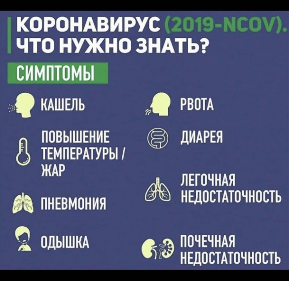 Все, что нужно знать о коронавирусе. Все, что нужно знать о коронавирусе.